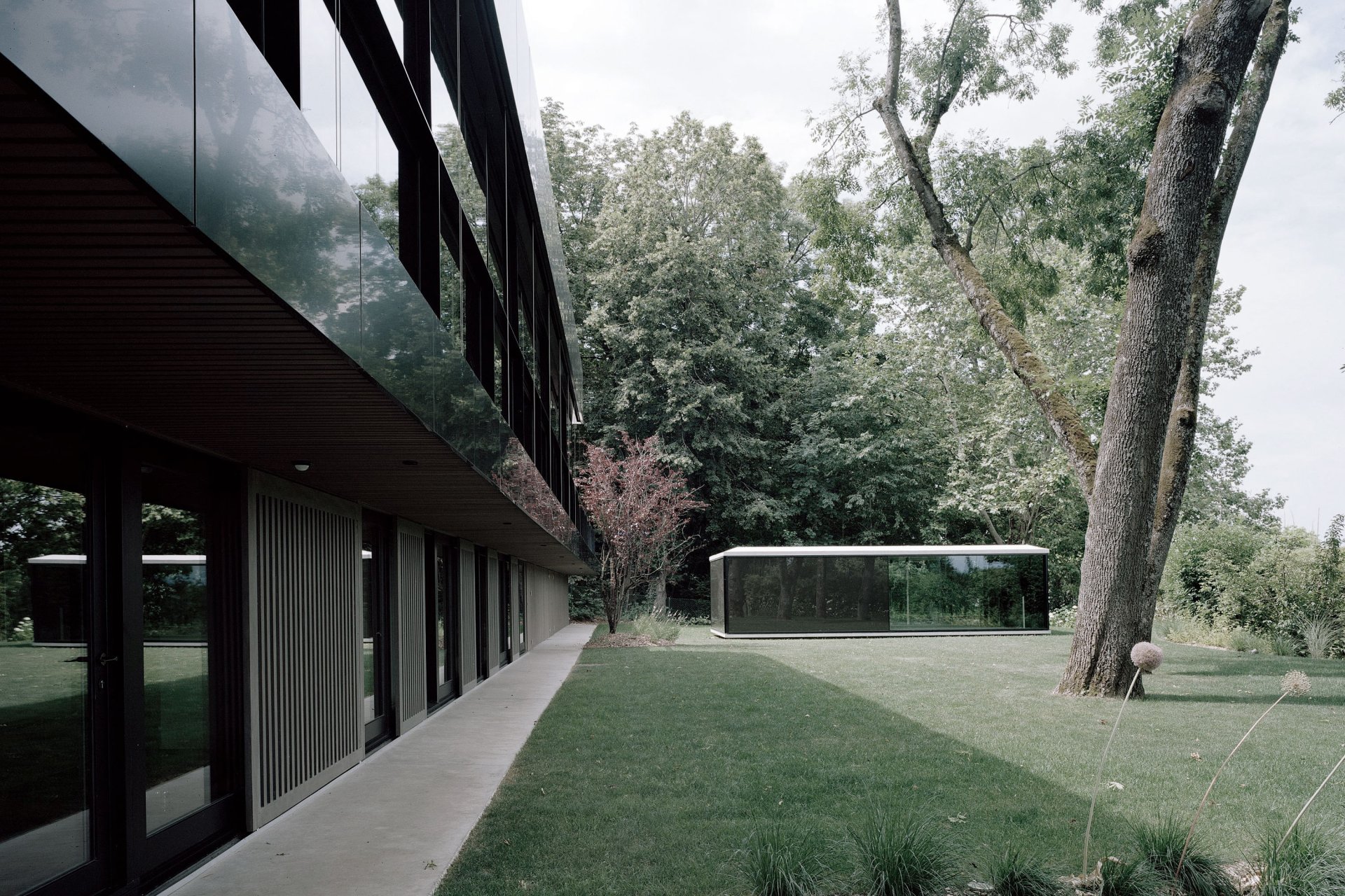 Philippe Meyer Architecte - QDC_Villa