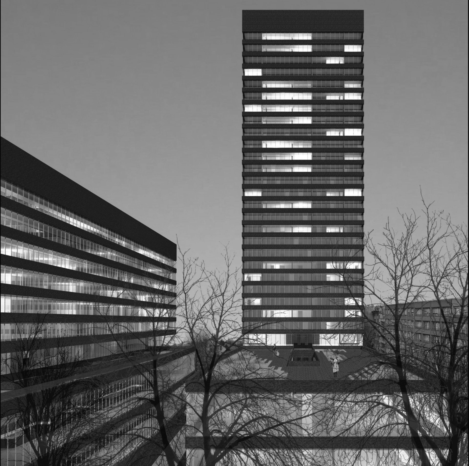 Philippe Meyer Architecte - PAV1_Logements 