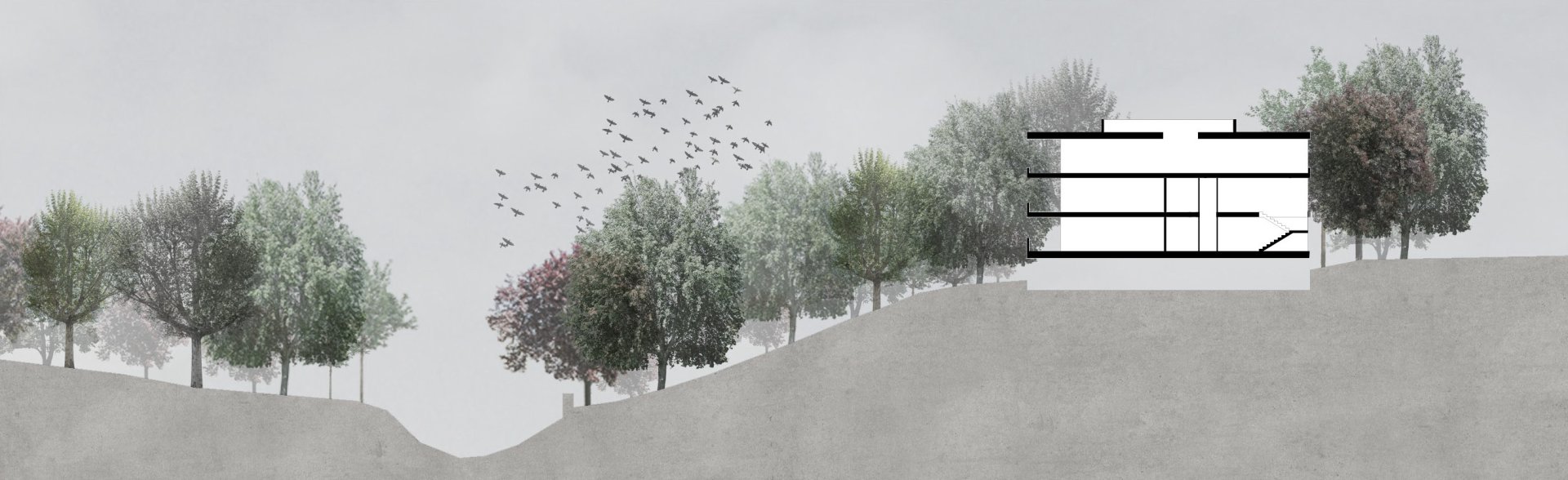 Philippe Meyer Architecte - Habitation collective
