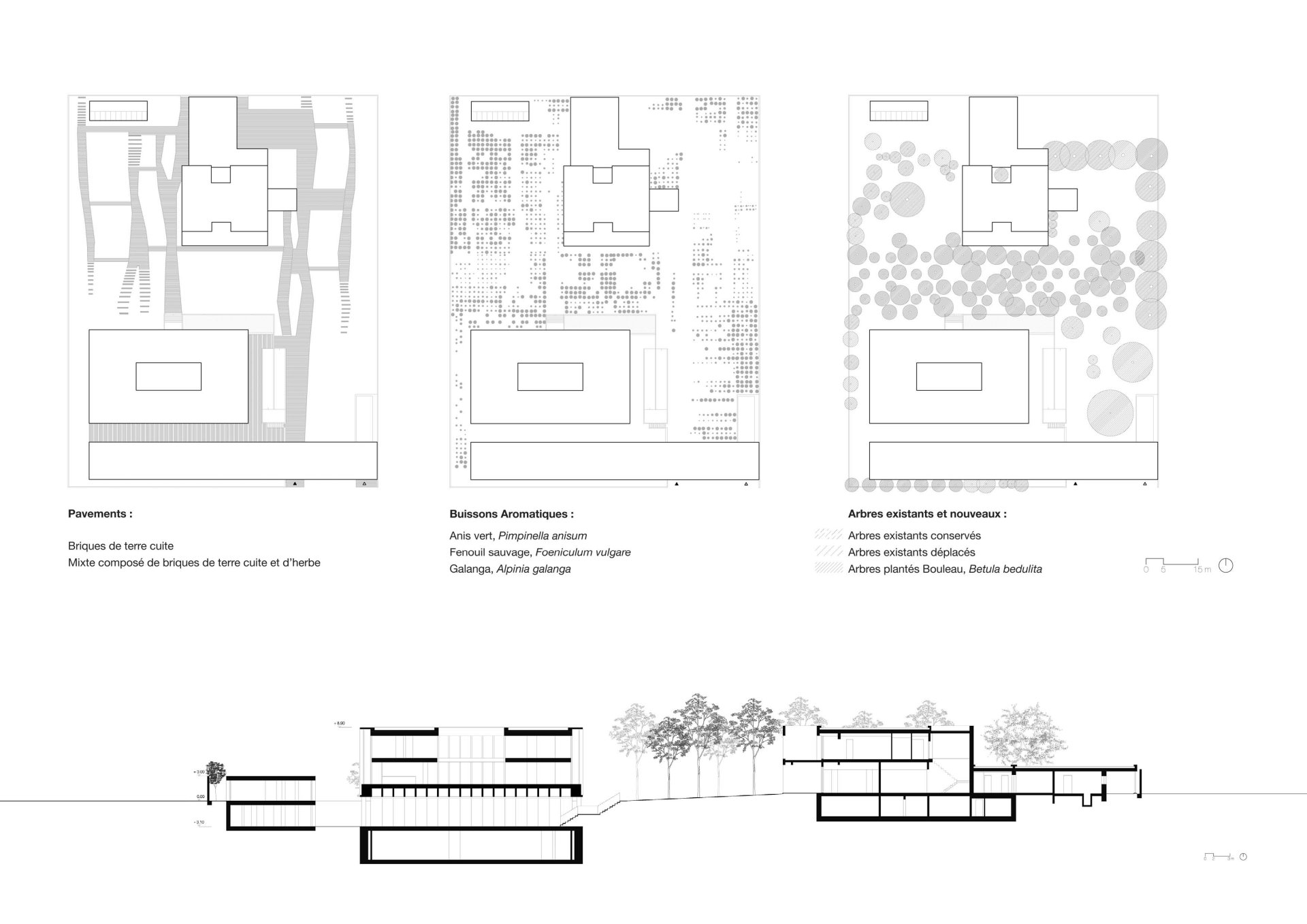 Landscape plans and sections Philippe Meyer Architecte - Ambassade Gothard block
