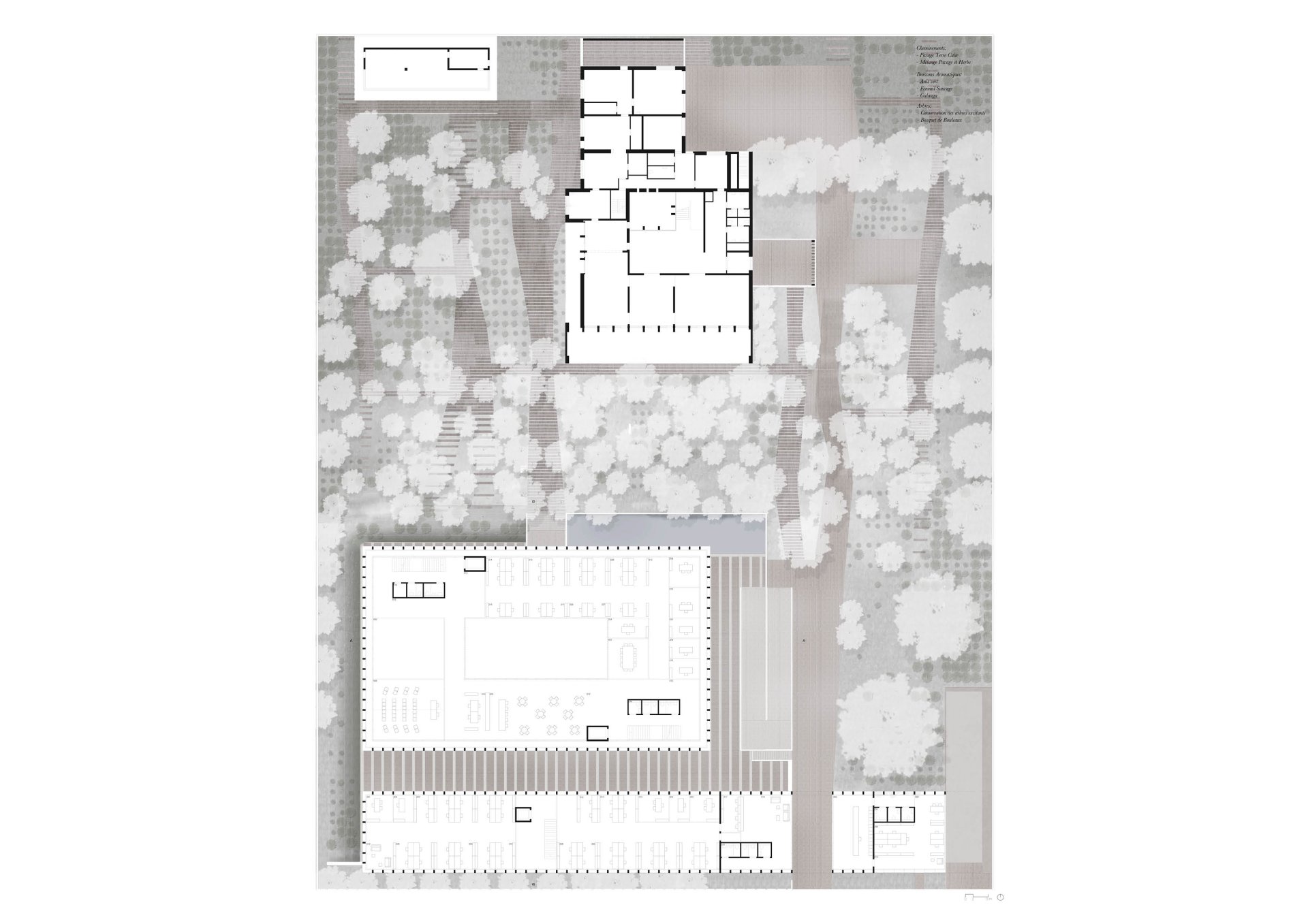 Ground floor plan Philippe Meyer Architecte - Ambassade Gothard block
