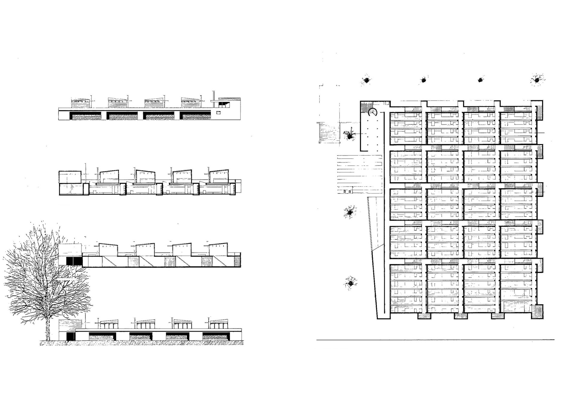 Facades - sections and lower ground floor plan Philippe Meyer Architecte - Logements
