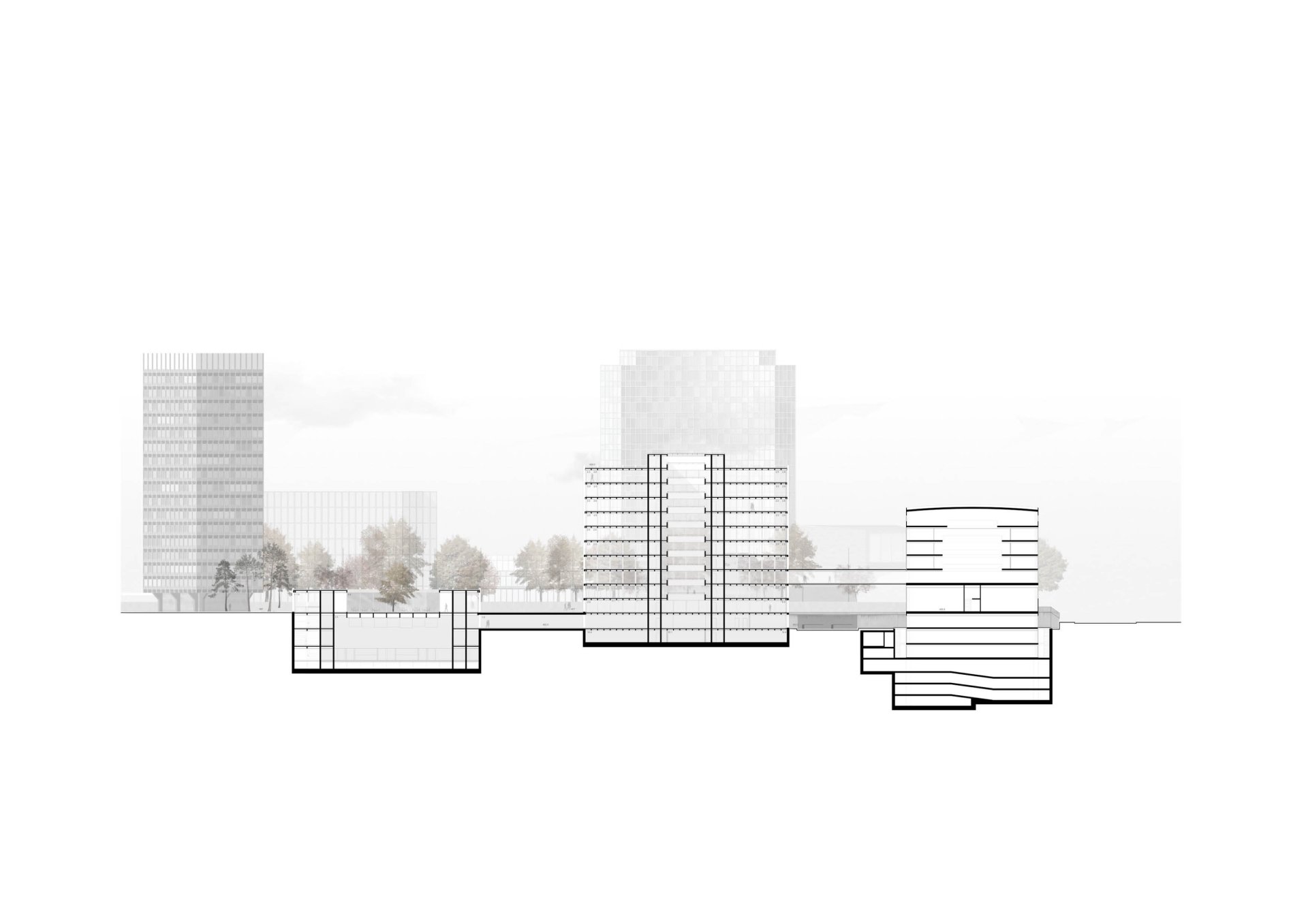 Section Philippe Meyer Architecte - Headquarter UIT
