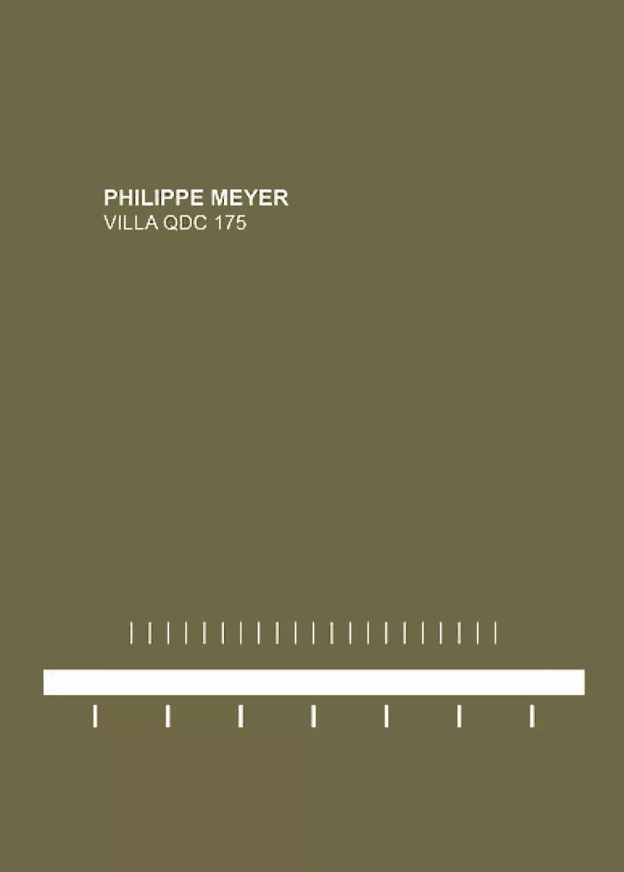 Philippe Meyer Architecte - PHILIPPE MEYER - VILLA QDC175
