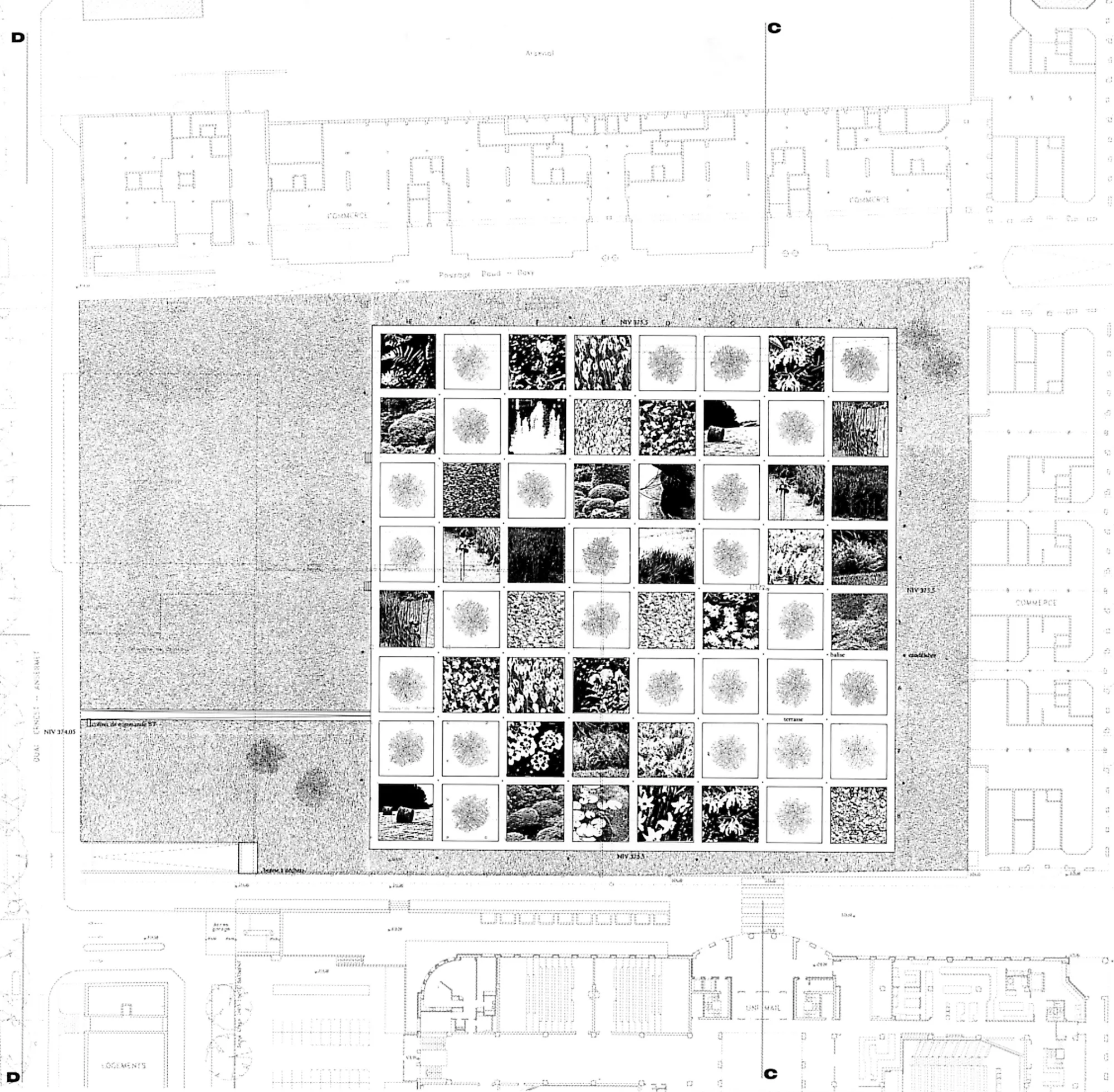 Philippe Meyer Architecte