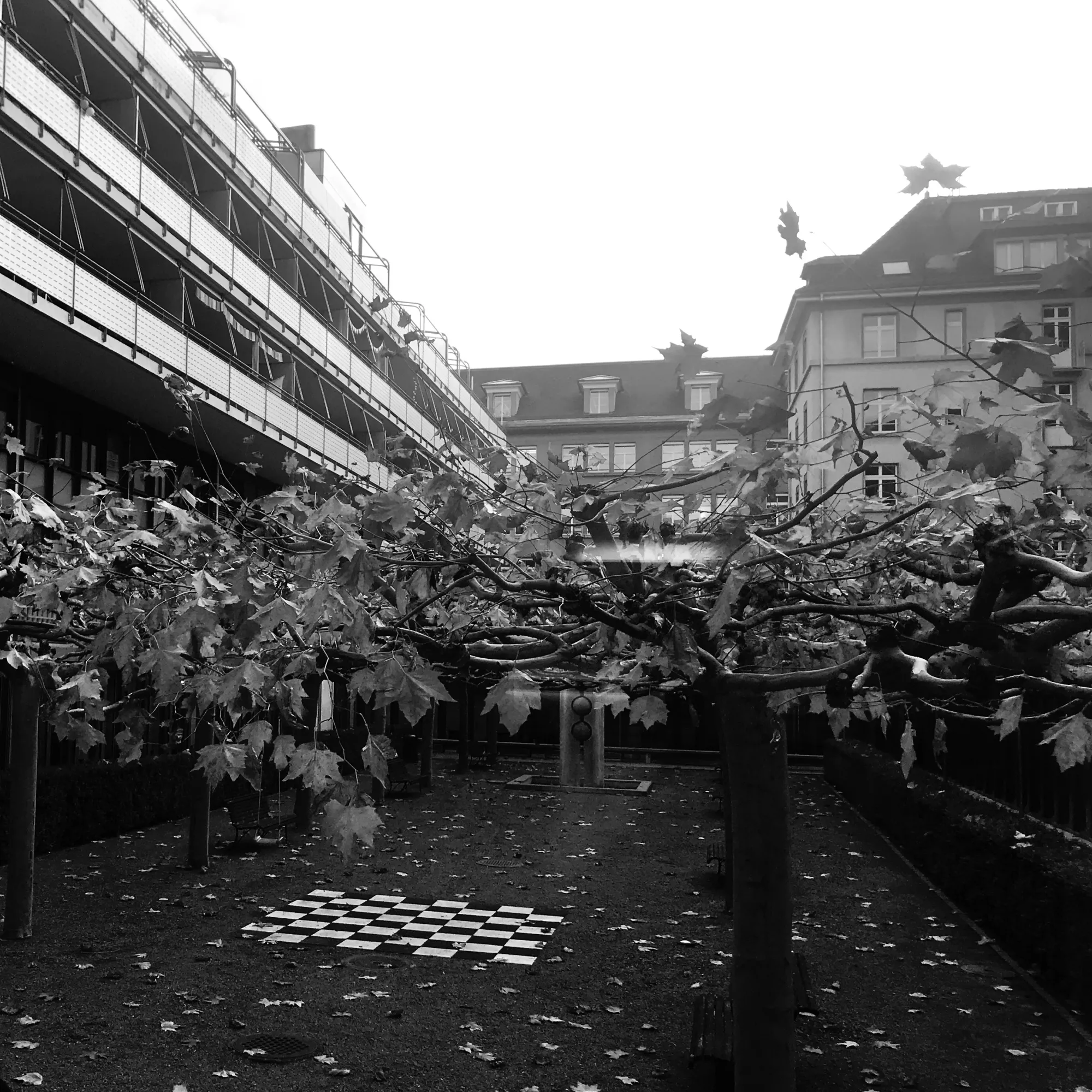 Philippe Meyer Architecte - Logements et bureaux pour Reinhard & Partner