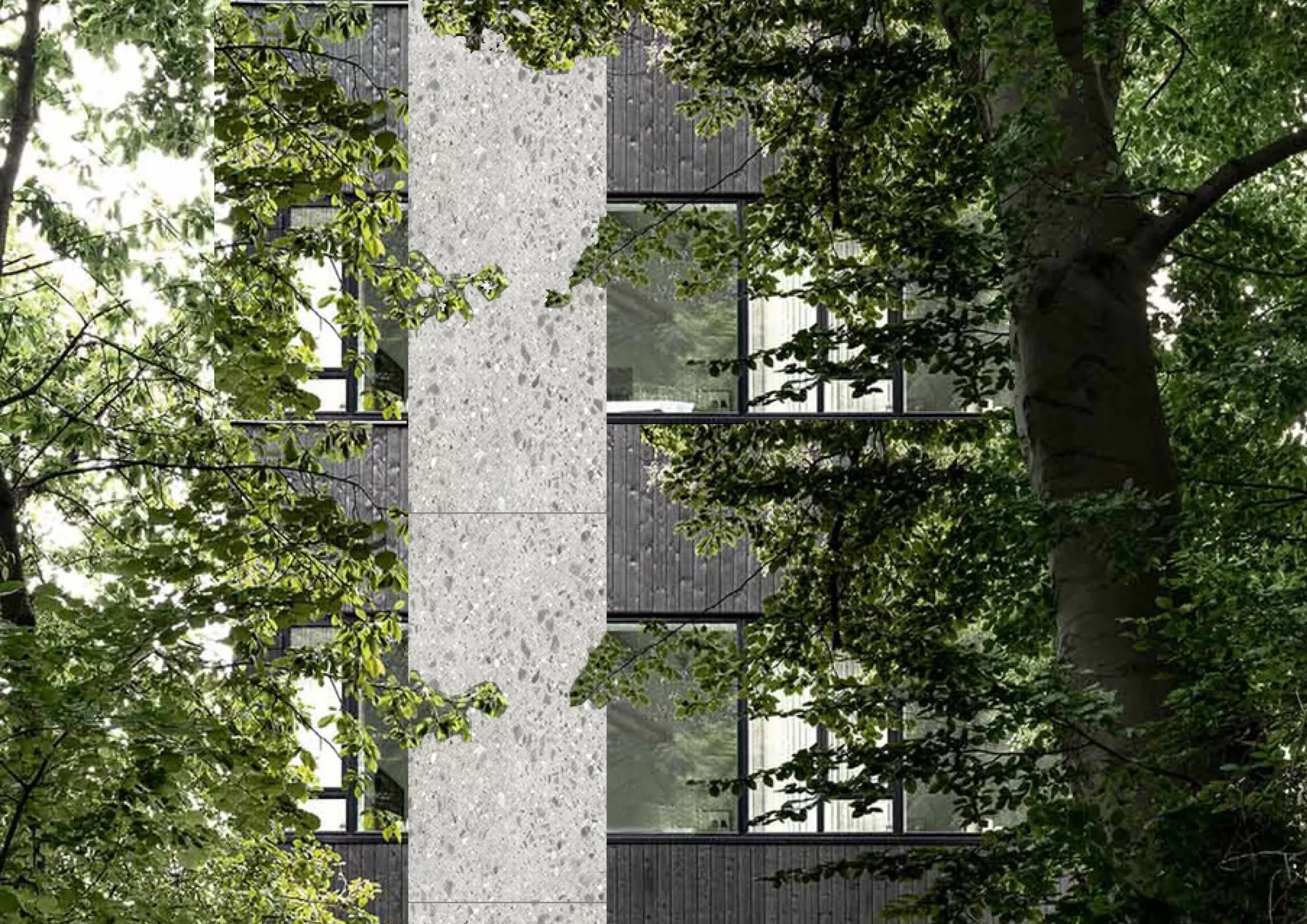 Philippe Meyer Architecte