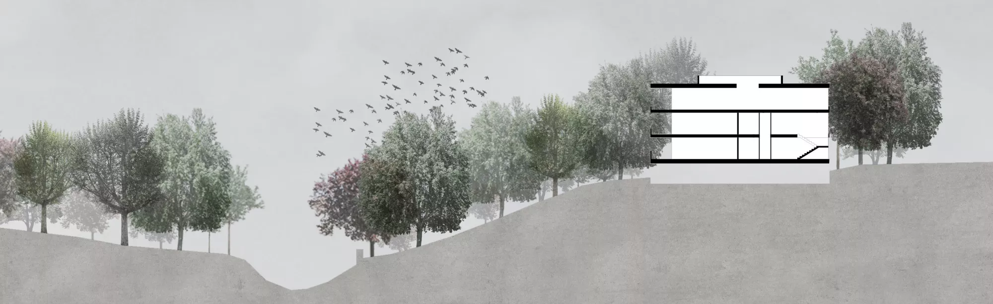 Philippe Meyer Architecte - Habitation collective