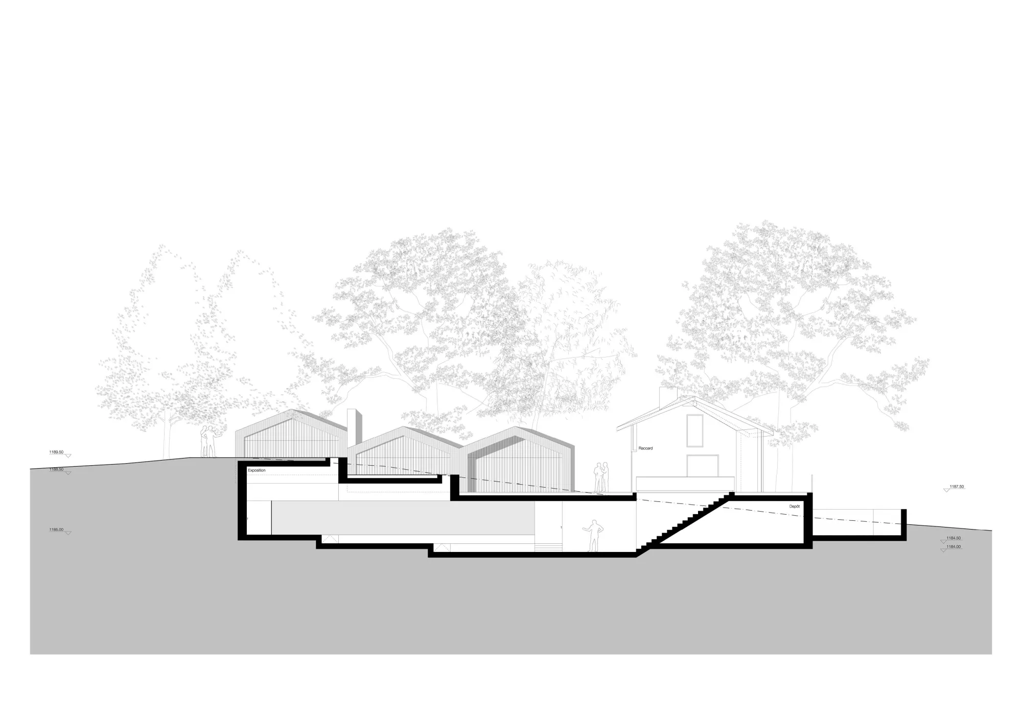 Section Philippe Meyer Architecte - Galerie privée et habitation