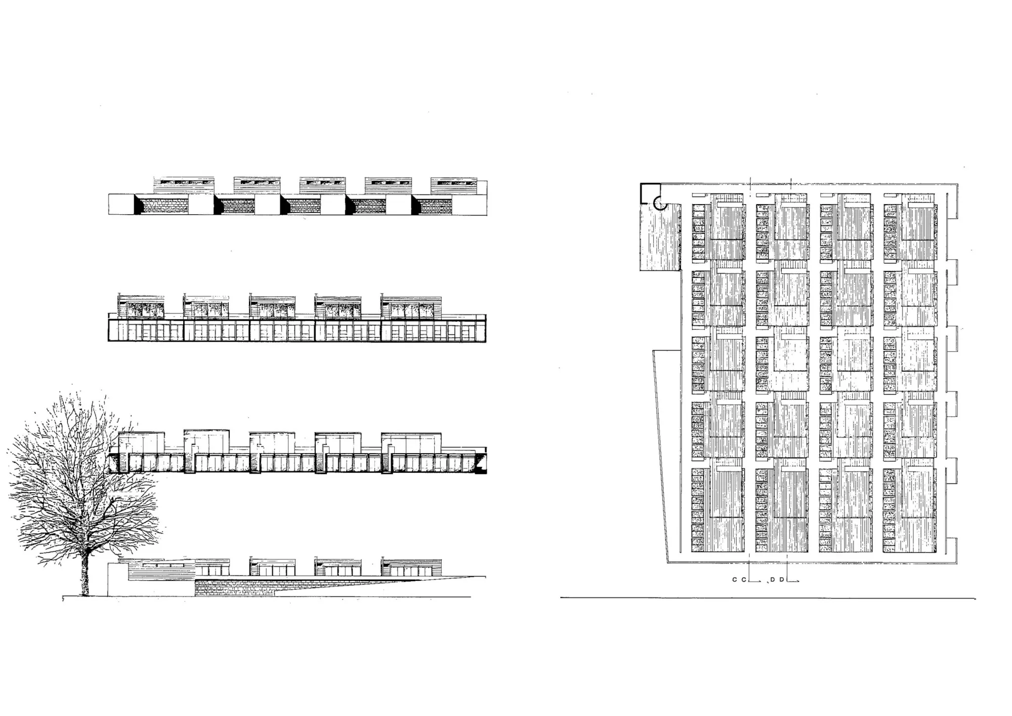 Facades - sections and upper ground floor plan Philippe Meyer Architecte - Logements