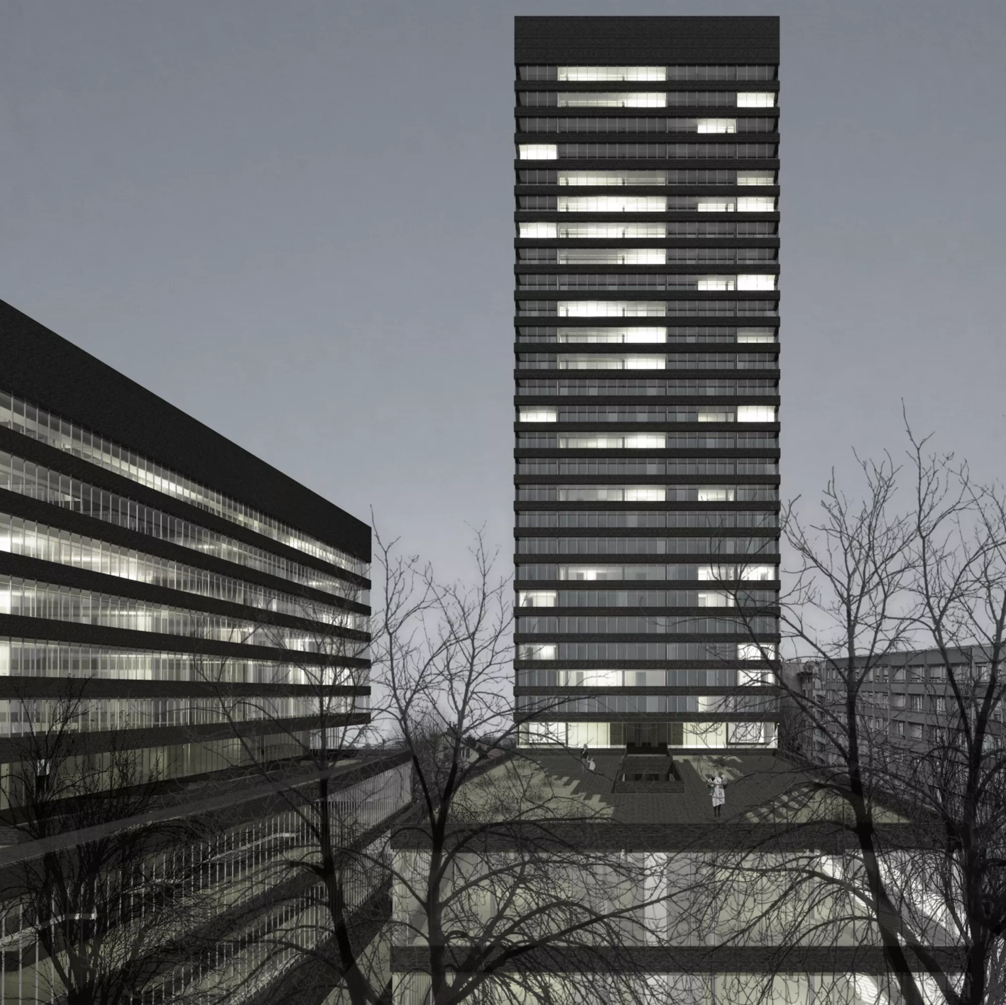 Philippe Meyer Architecte